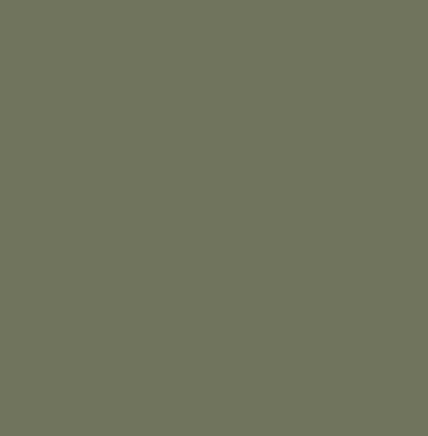 MELAMINA RH OLIVO DURATEX